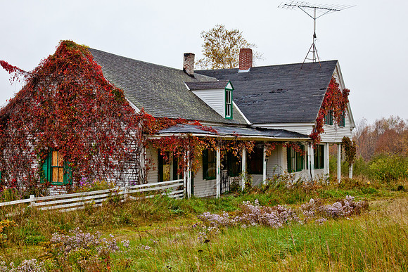 20121004-IMG_2896