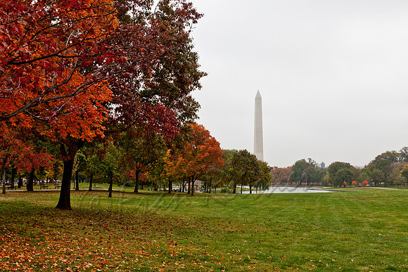 20121026-IMG_3967