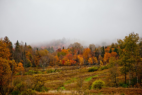 20121004-IMG_2877