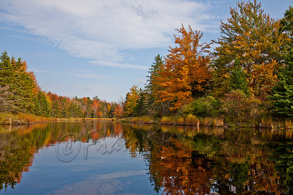 20121006-IMG_2990