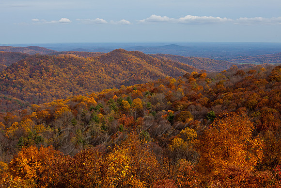 20121027-IMG_4092