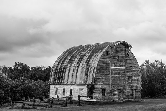 20120816-IMG_9715bw