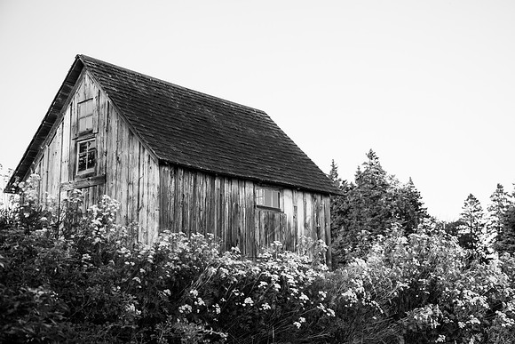 20120813bw-IMG_9679