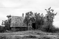 20120816-IMG_9712bw