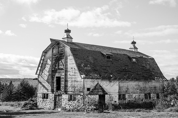 20120816-IMG_9791bw