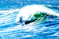 20190313-DSC07579-2