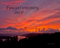 If you can't write poetry