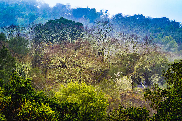 20190302-DSC07103