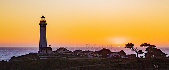 20111130-IMG_2548