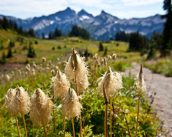 Mount Rainier National Park- 20130919-IMG_5047