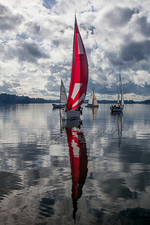 Puget Sound- 20160305-IMG_1647