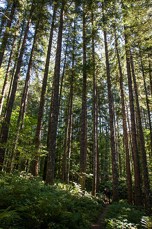 20140913-IMG_7459