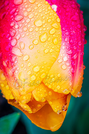 20190412-DSC03008