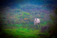 20111020-IMG_0676