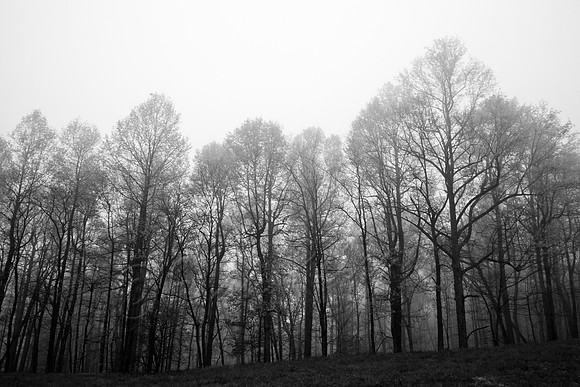 20130503-IMG_9284