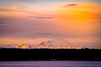 20190328-DSC08127