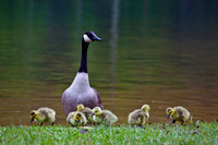 20130503-IMG_9402