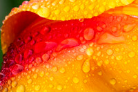 20190412-DSC08176