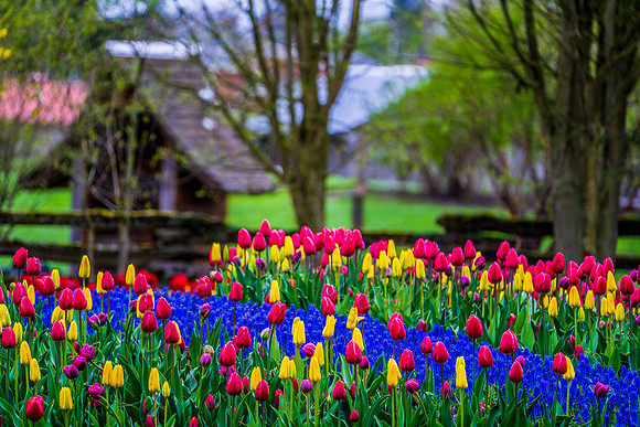 20190412-DSC08147