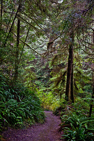 20130928-IMG_5160