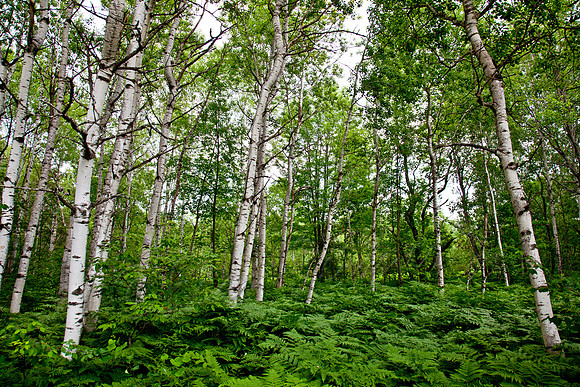 20130707-IMG_2617