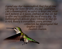 Hummingbirds20140214-IMG_9701