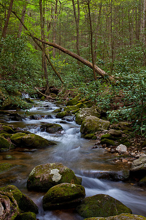 20130501-IMG_9261