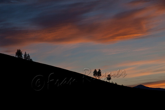 Clelan WA- 20140608-IMG_4175