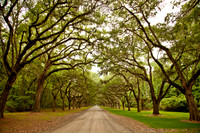 20120516-IMG_1541