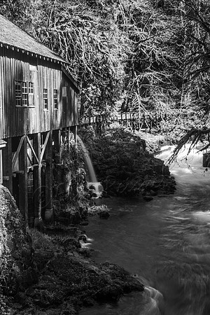 Grist Mill, Washington- 20150326-IMG_8683
