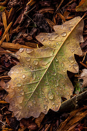 20131028-IMG_5860