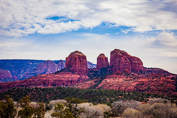 20120207-IMG_4859