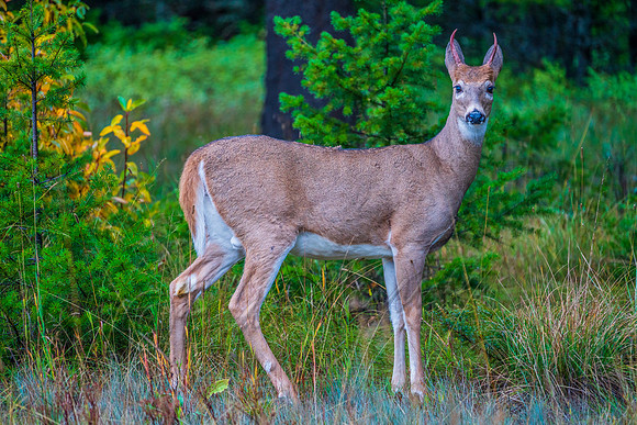20190923-DSC02280