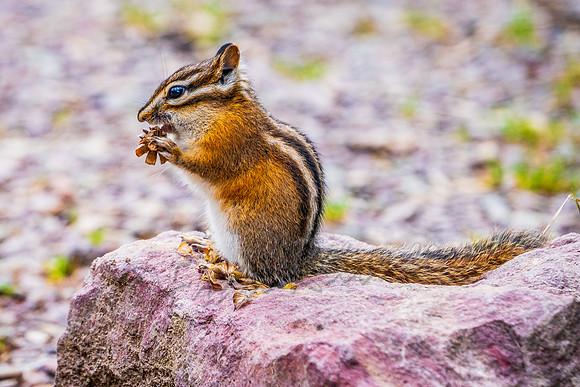 20190922-DSC02255