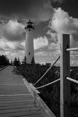 20120914-IMG_1296bw